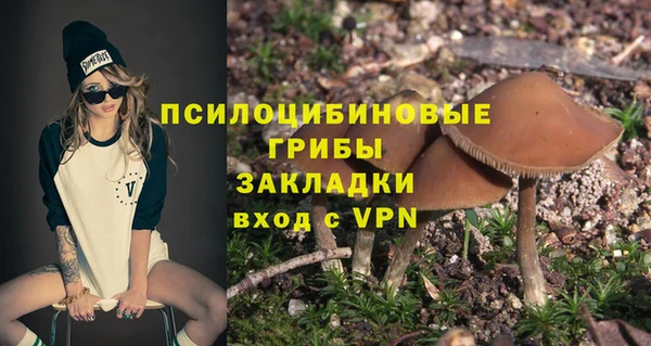 твердый Богородск