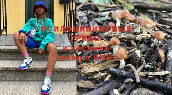 твердый Богородск
