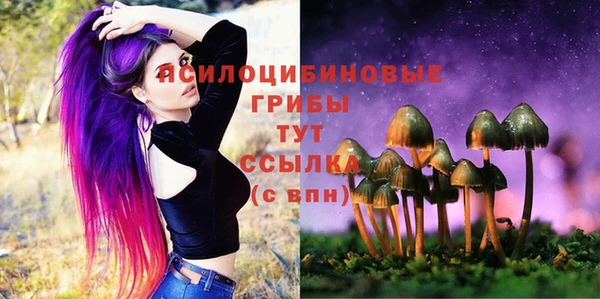 твердый Богородск