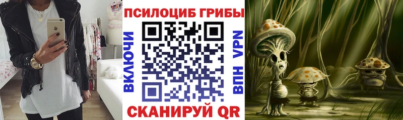 Купить  Севск  Галлюциногенные грибы ЛСД 